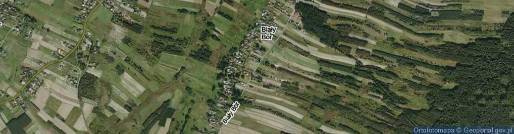 Zdjęcie satelitarne Biały Bór ul.